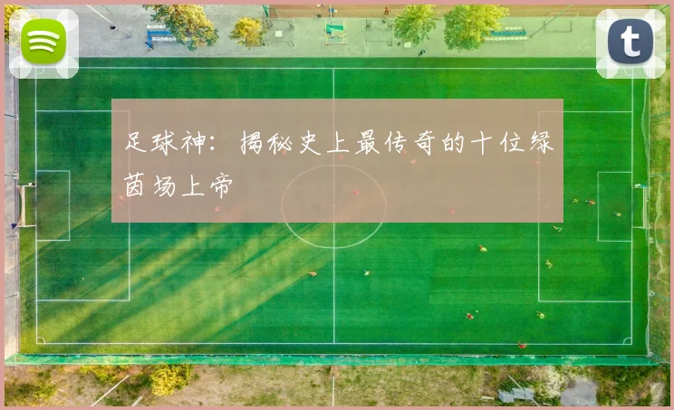 足球神:揭秘史上最传奇的十位绿茵场上帝