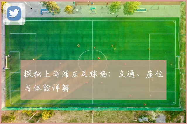 探秘上海浦东足球场：交通、座位与体验详解